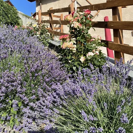 La Maison - Il Riparo Del Cervo *