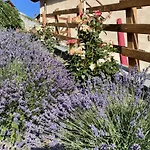 La Maison - Il Riparo Del Cervo *