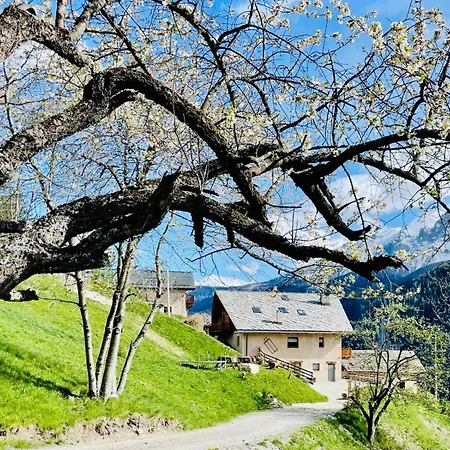 La Maison - Il Riparo Del Cervo Lägenhet Bardonecchia