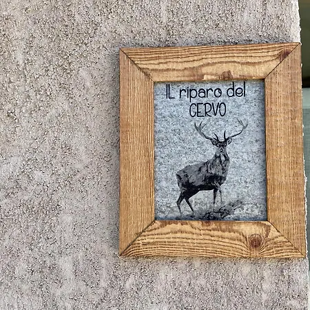 Appartement La Maison - Il Riparo Del Cervo Bardonnèche